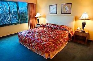 New Frontier Hotel ลาสเวกัส ภายนอก รูปภาพ
